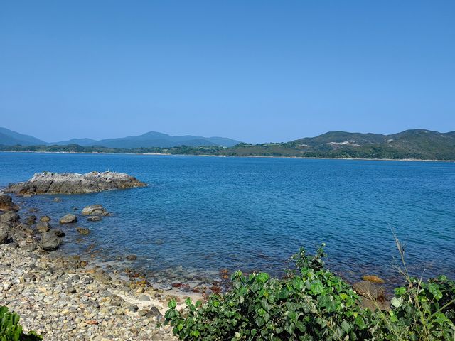 香港離島選哪個？西貢隱秘果凍海