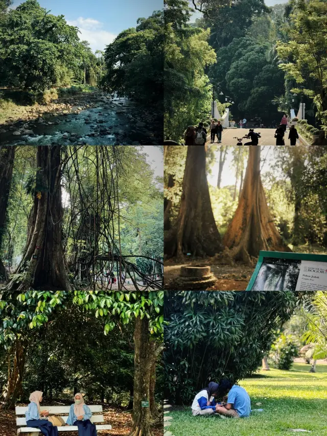 Discover Bogor: Where Nature Meets Culture in Indonesia