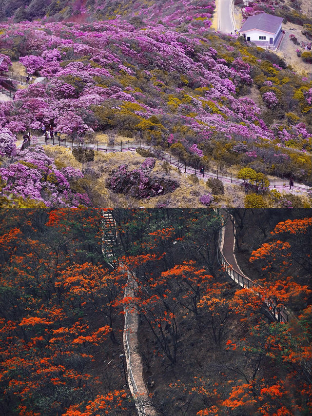 00後寶媽旅遊攻略來啦