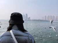 超全青島旅行｜三天兩夜懶人版攻略～