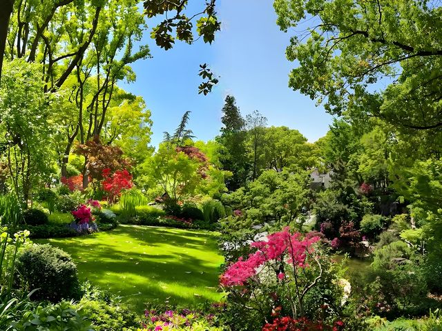 邂逅上海莫奈花園，沉浸式油畫之旅！