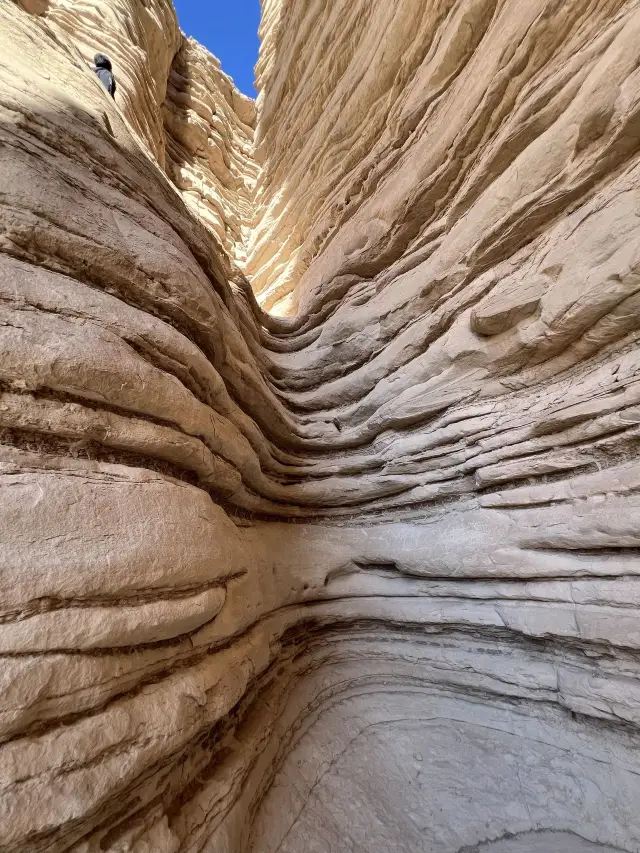 하미 등 지역 18일 여행|완벽 공략 가이드, 실패 없는 여행을 위한 필독