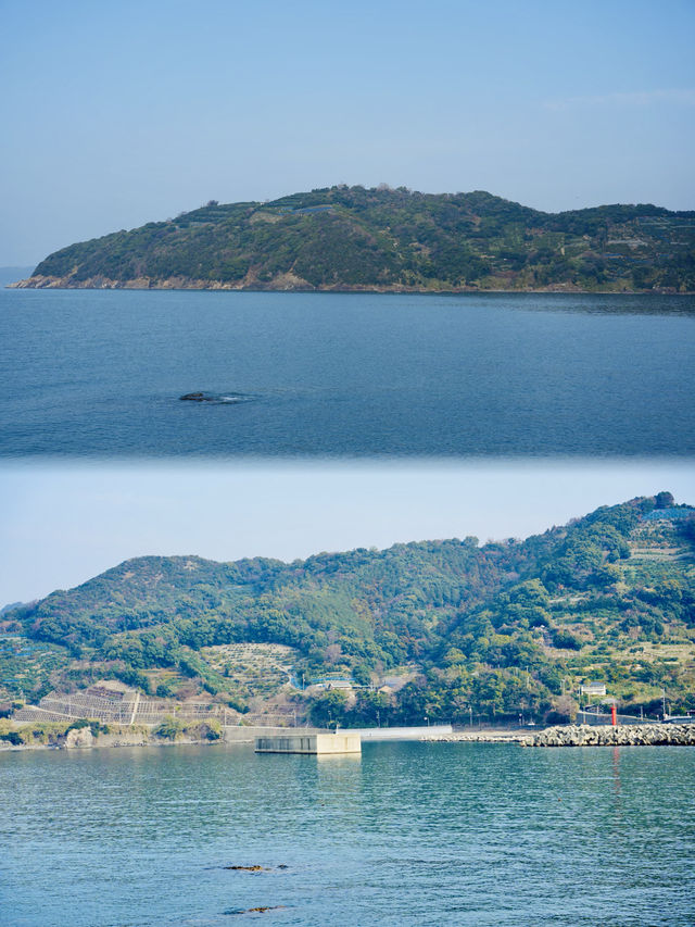 日本紀伊半島之旅｜和歌山湯淺町單車遊