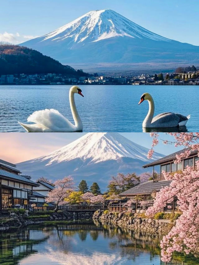 度假天花板