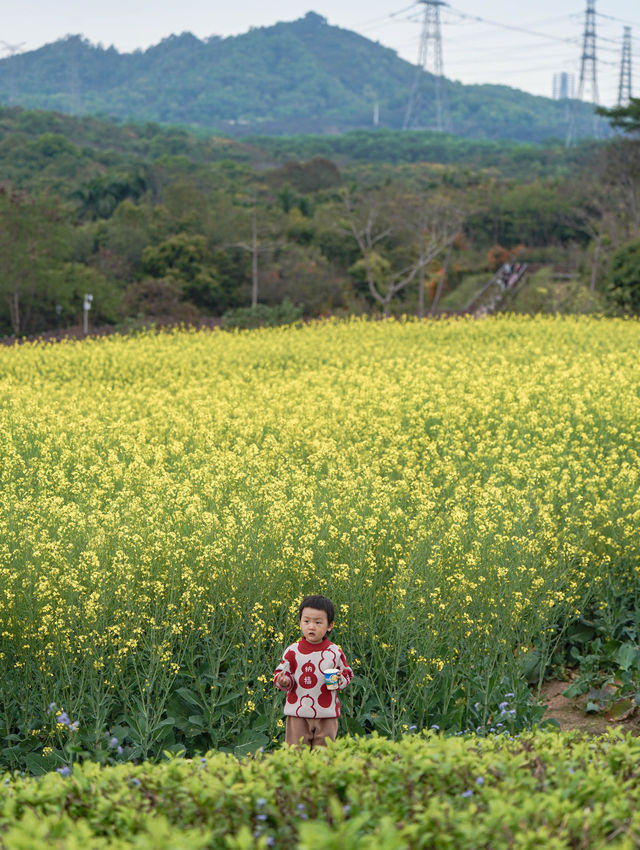 邂逅浪漫，陌上花公園嘅春日漫遊記