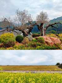 唔小心闖入咗宮崎駿嘅漫畫世界——天人山水