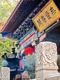 珠海金台寺：塵世外的清淨佛國#