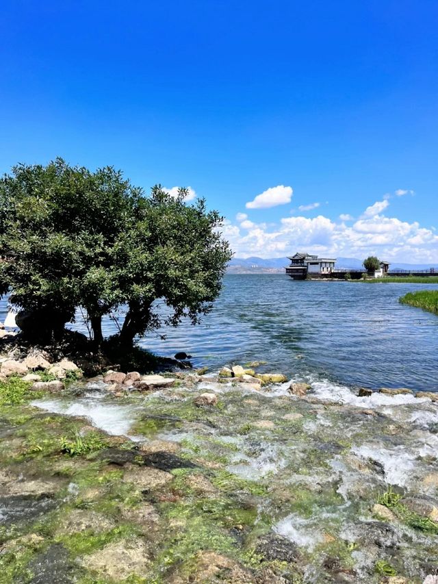 大理旅遊 | 閉眼照抄呢條路線，美到唔想走