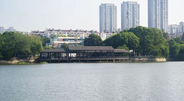 高性價比之選,漫步南瑞湖的愜意時光 高性價比之選,漫步南瑞湖的愜意時光