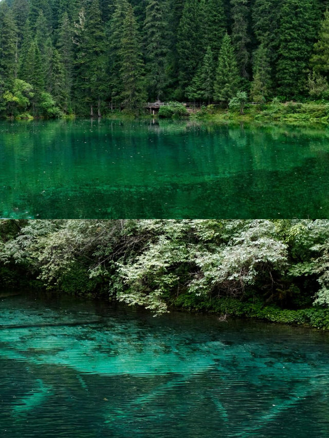 德陽美食體驗和特色玩法