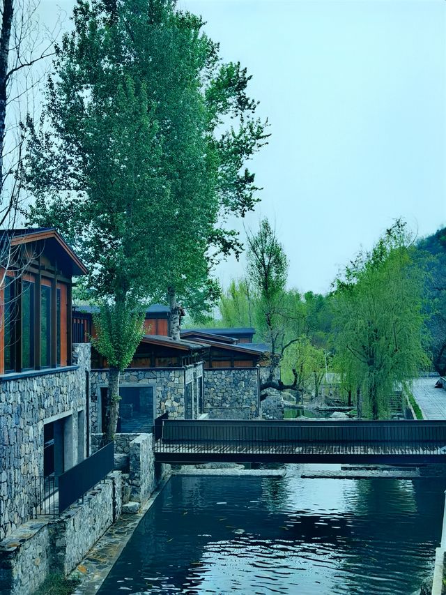 春雨洗禮，隱北•達摩民宿的綠野仙蹤