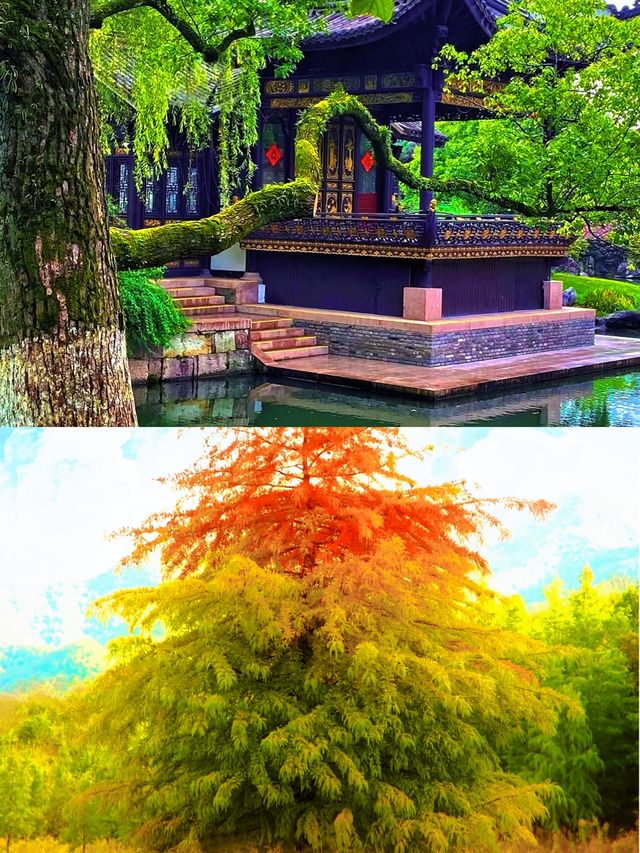 寧波旅遊文案：千年港城，四時風華，邂逅詩畫江南