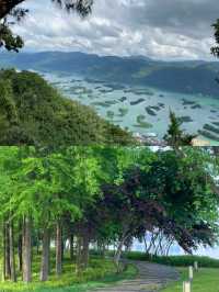 武漢的風景已經捲成這個樣子了嗎？這也太美了吧