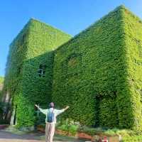 廣州蒲洲花園綠房子與明珠灣大橋｜地鐵直達的絕美海邊打卡秘境