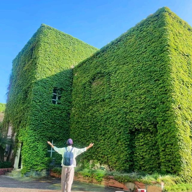 廣州蒲洲花園綠房子與明珠灣大橋｜地鐵直達的絕美海邊打卡秘境