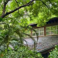 廣州最愛之地｜珠江公園 走進綠色森林🌳