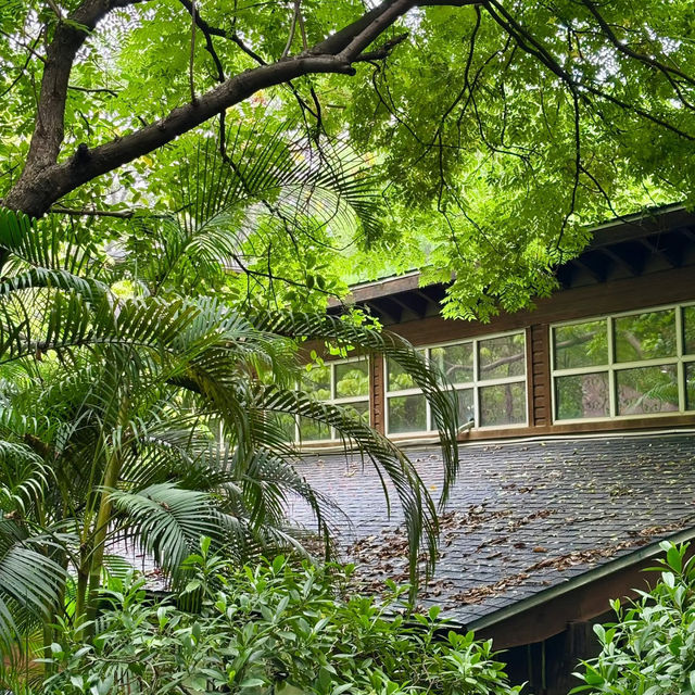 廣州最愛之地｜珠江公園 走進綠色森林🌳