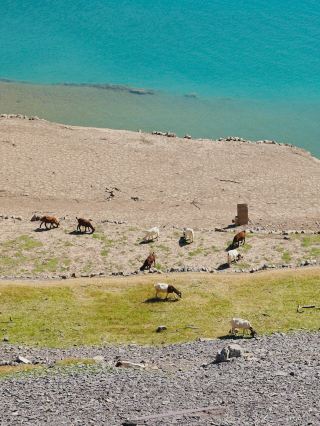 Help! Henan actually hides a "Little Yamdrok Lake"! 14km hike that's breathtakingly beautiful