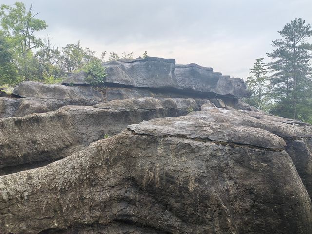 夏季炎熱推薦漢中一些避暑勝地：   - 黎坪國家森林公園：位於南鄭區黎坪鎮，夏季平均氣溫22℃左右。