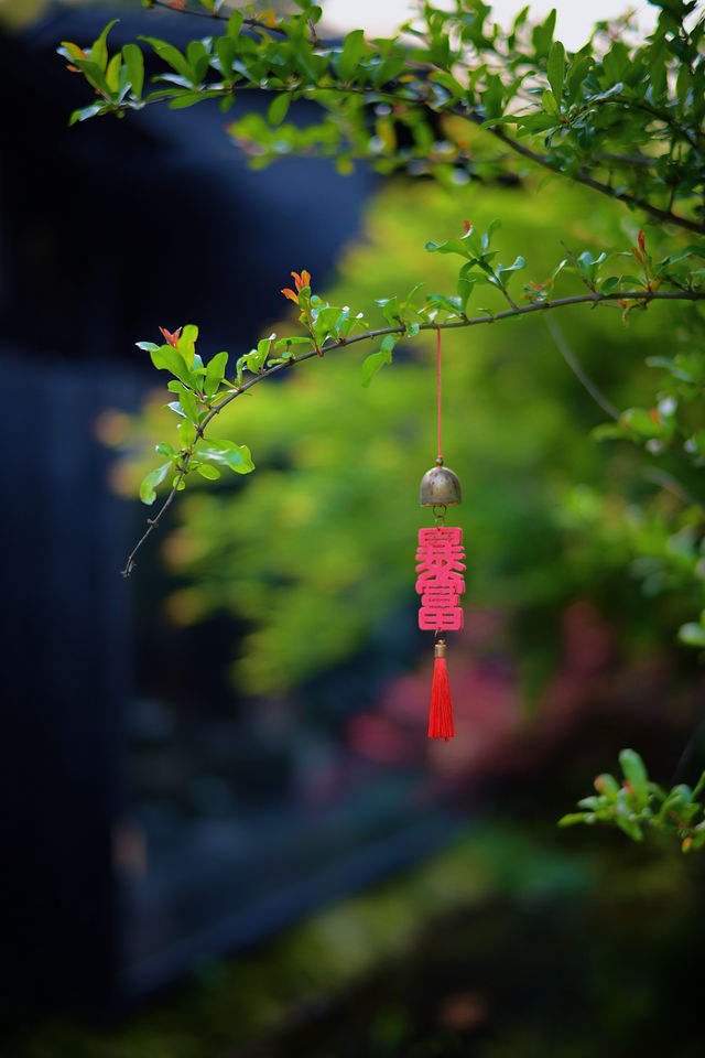 朋友圈都妒忌嘅時刻…