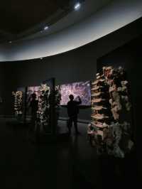 杭州展覽黑神話悟空展太讚啦