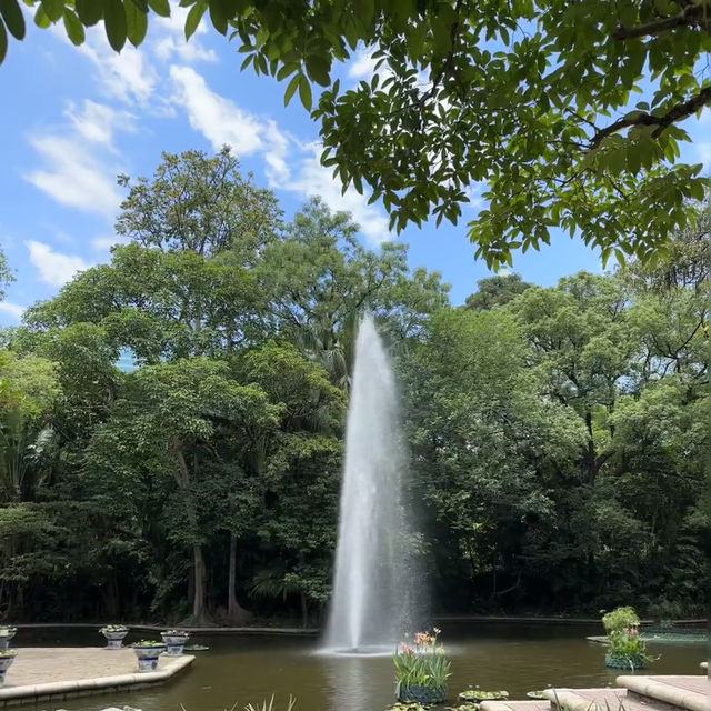 🇭🇰香港公園 | 藏在鬧市裡的綠洲
