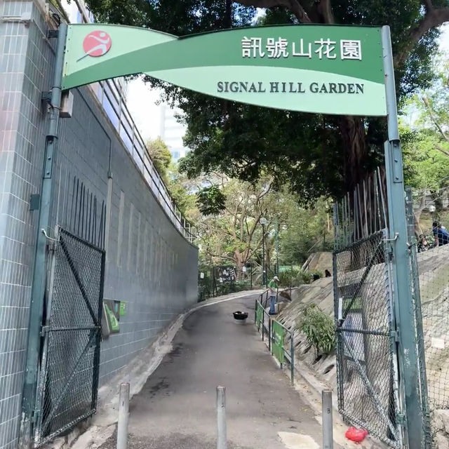 香港小眾秘境 | 訊號山花園深度遊🌸