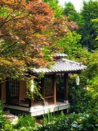 喺都江堰，搵到成都版「小京都」嘅夏天