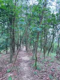 中山愛心湖！你仲未去行山？