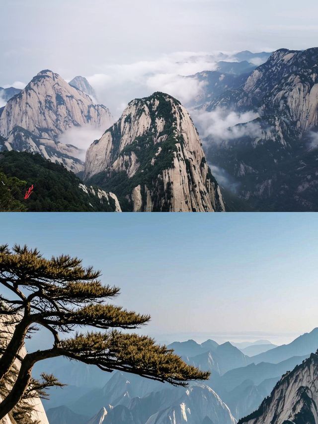華山拼團｜天天出團，三環內接送