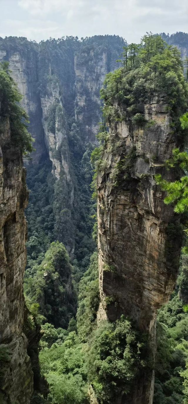 張家界森林公園 天門山旅遊攻略嚟啦