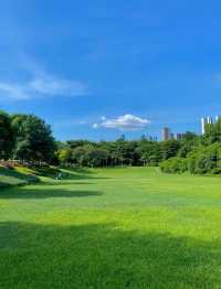 深圳大沙河公園漫遊指南｜都市綠肺裡的全齡段治癒之旅