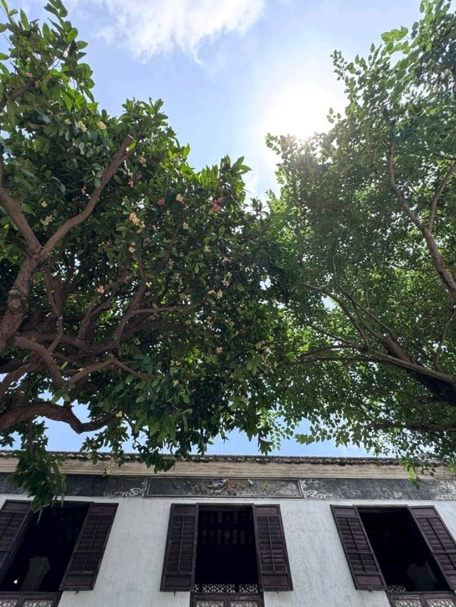 澳門鄭家大屋｜從香港出發尋覓百年閩南建築之美🏠 