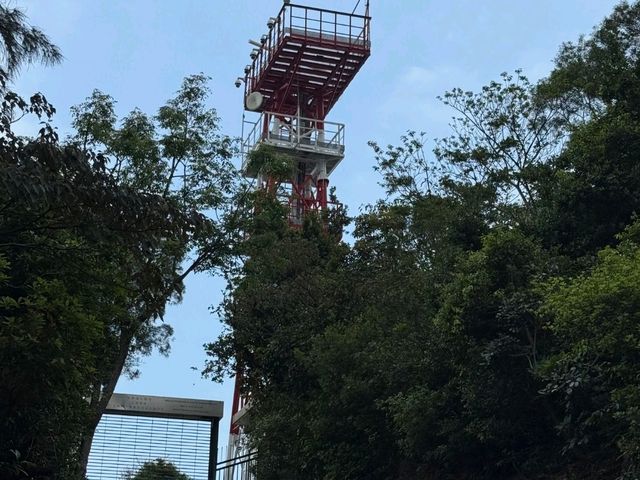 香港出發到澳門九澳聖母村交通攻略 