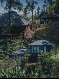樂山！成都出發1小時！山野樹屋！超適合度假放鬆