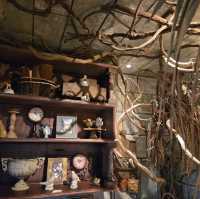 I can not believe there is a Harry Potter Bakery
