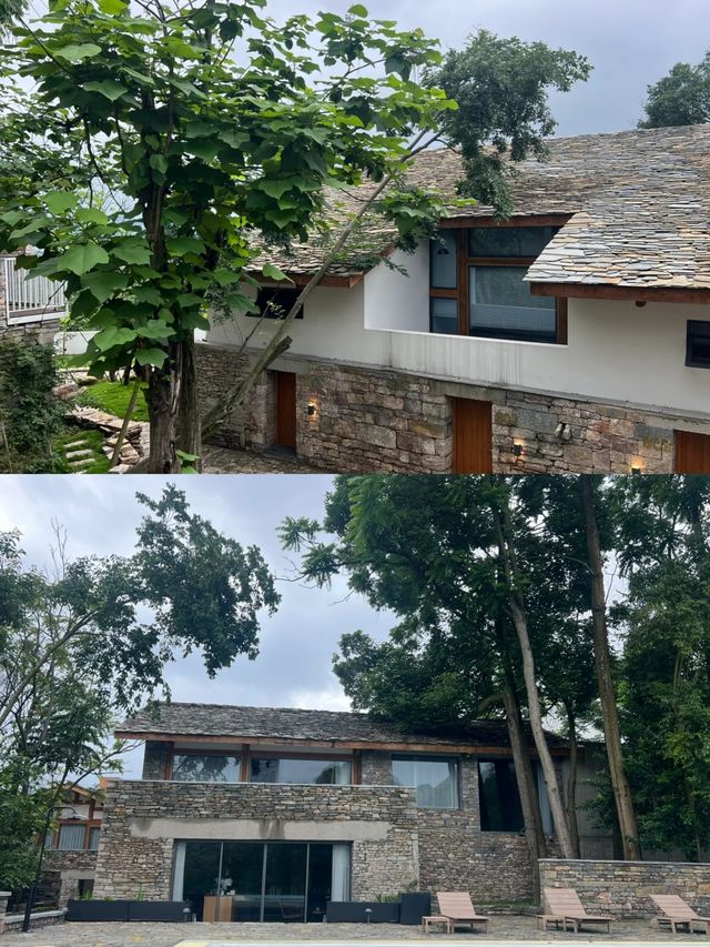 黃果樹至也度假酒店｜黑松露榜單