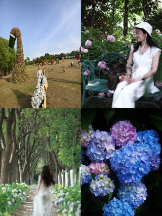 Thought Suzhou was beautiful! Until I went to Yangzhou