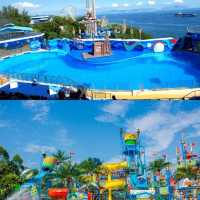 🌊【全港最大！海洋公園水上樂園保姆級攻略】