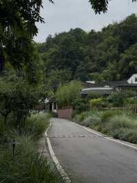 阿烏拉真係成都嘅夏威夷啊