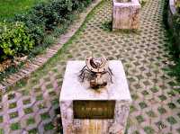 The Living Canvas: Art, Water, and Community on Changsha's Orange Island