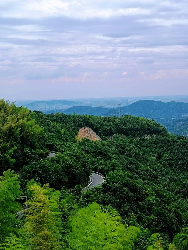 尋找白楊梅嘅鄉村路線，好CHILL