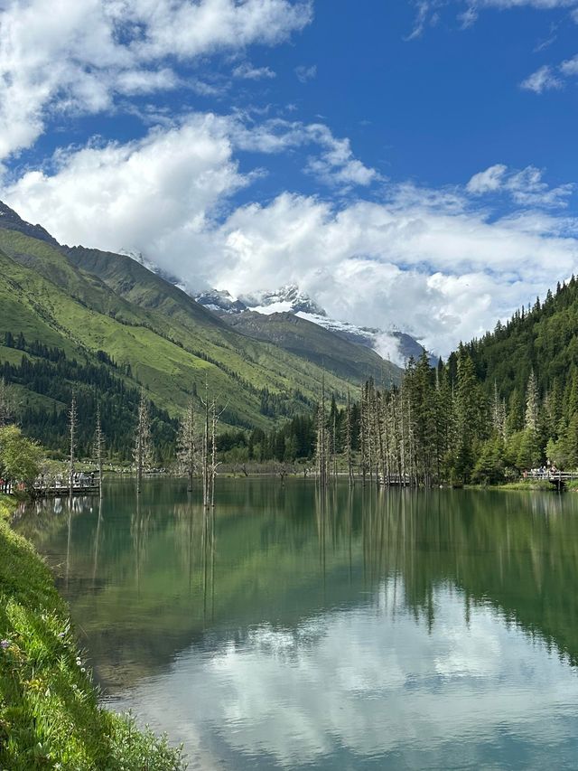 六月份四姑娘山最強攻略，雪山花海一站式全體驗