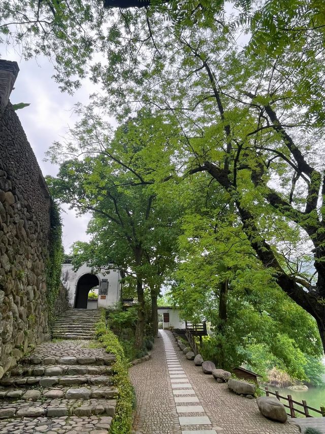 桐廬馬嶺古道：穿越時光的詩意之旅