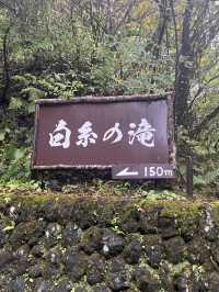從輕井澤紅葉步道，到東京潮流地標，一趟靜與動的完美旅程