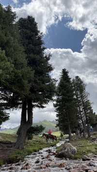 伊犁小環線8天小團真實體驗—附超詳細攻略