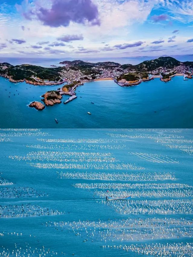 解鎖上海周邊枸杞島，玩水避暑全攻略！