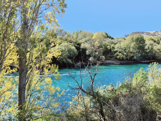 新西蘭南島最美老橋遺跡