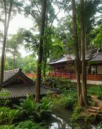 竹林秘境中嘅禪意中岩寺，被央視點名！青神竹藝仙境