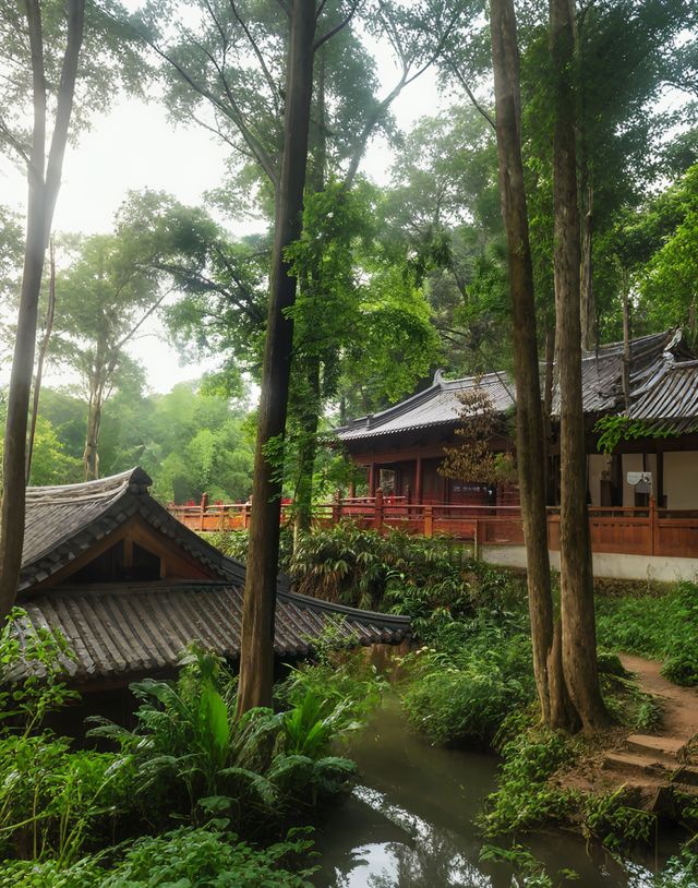 竹林秘境中嘅禪意中岩寺，被央視點名！青神竹藝仙境
